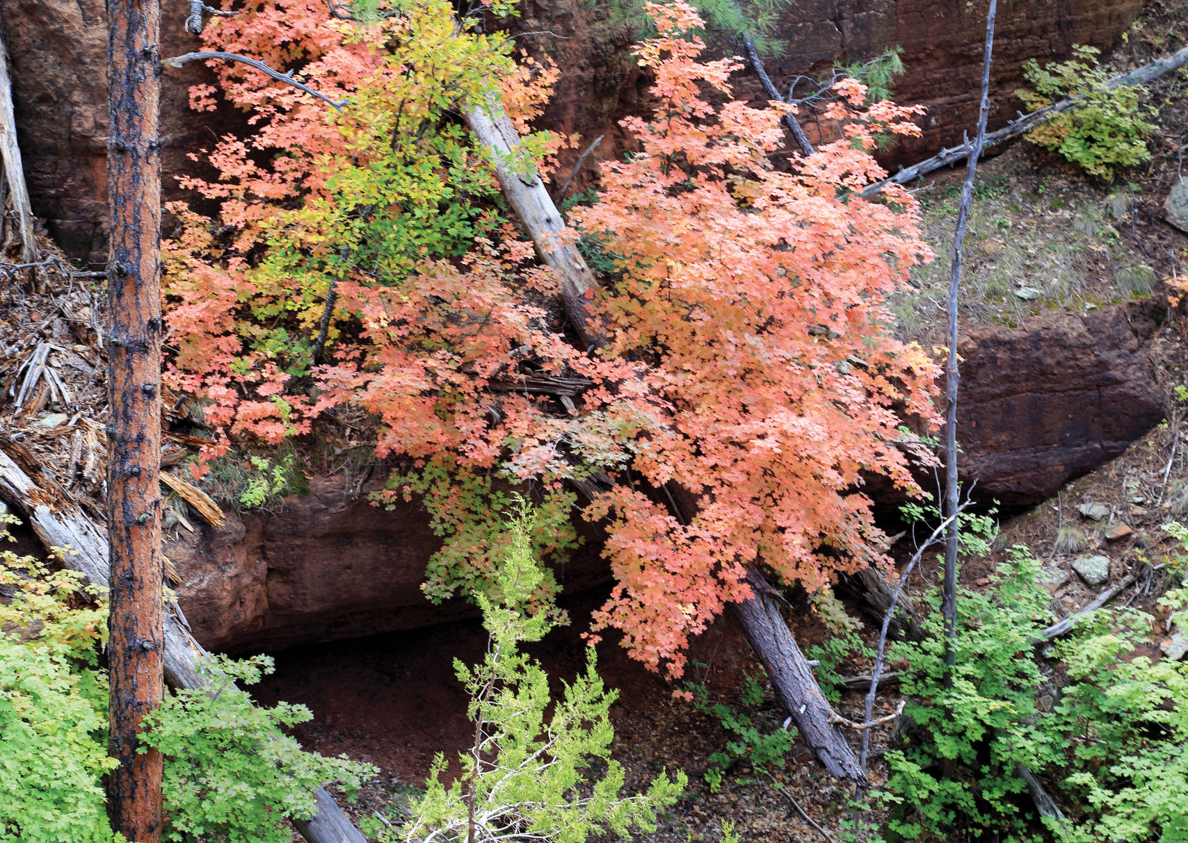 highline fall alicia rgb 3000x2000.jpg